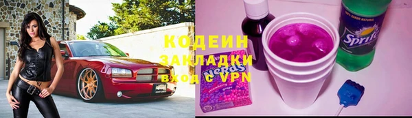 спиды Арсеньев