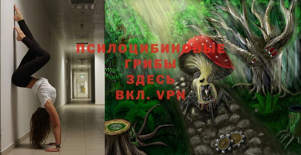 твердый Алексин